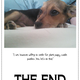 Illustration for article titled A Puppy Story